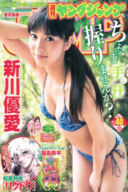 披荆斩棘